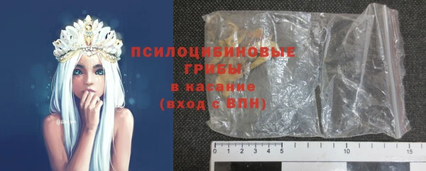 шишки Пролетарск