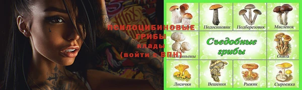 шишки Пролетарск