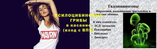 шишки Пролетарск