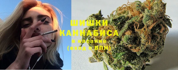 шишки Пролетарск