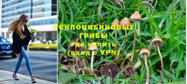 2c-b Протвино