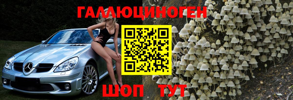 Псилоцибиновые грибы GOLDEN TEACHER Изобильный