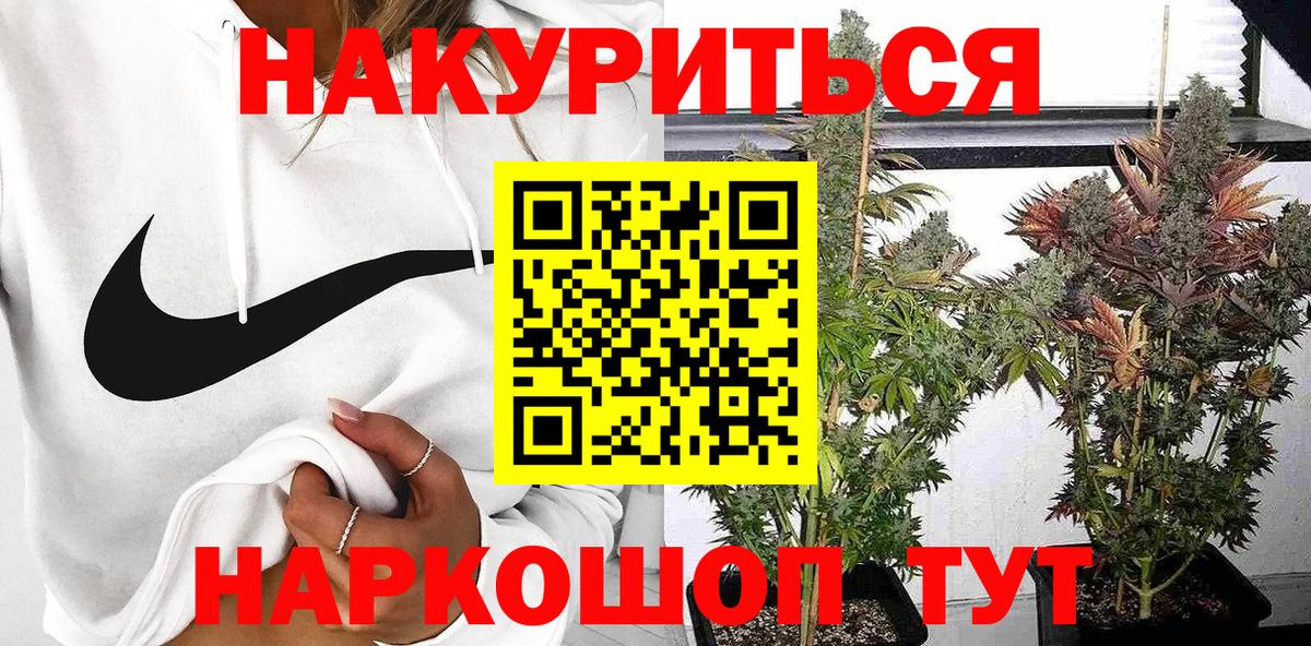 Марихуана семена  Конопля план  Бошки марихуана OG Kush  Вход с VPN  Изобильный 